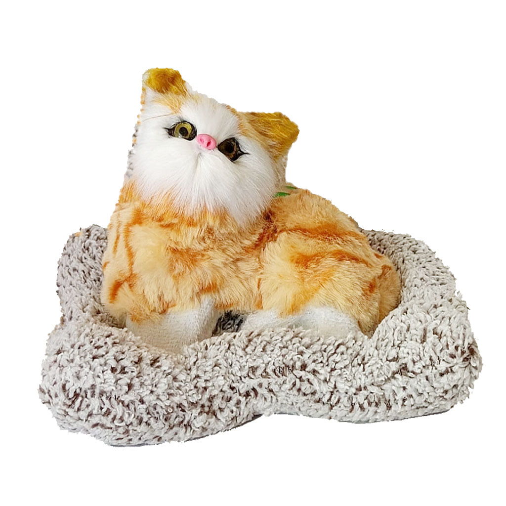 Supplies for Holi Decor